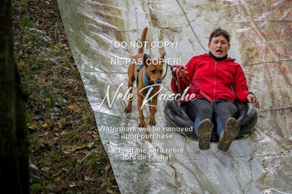 nelerasche_Hunsrück_Sa1430-1500_246-final | nelerasche