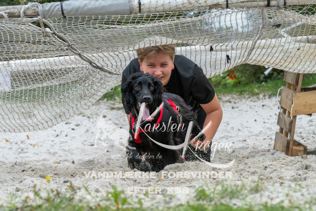 1037_ZZ94703 | kk-dogfotos
