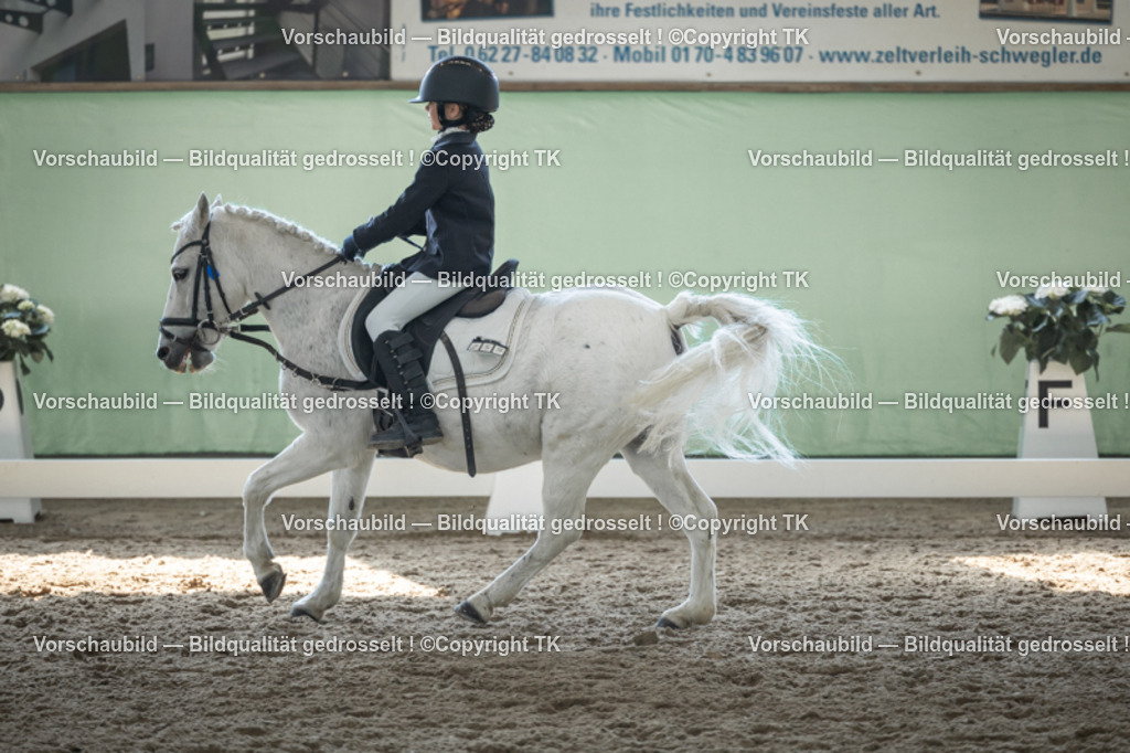 _D5A9082 | Emotionale Pferde- & People-Fotografie rund um Heidelberg, Leimen & Umgebung. Natürliche Fotos von Pferd, Mensch & Familie. Jetzt Termin sichern!