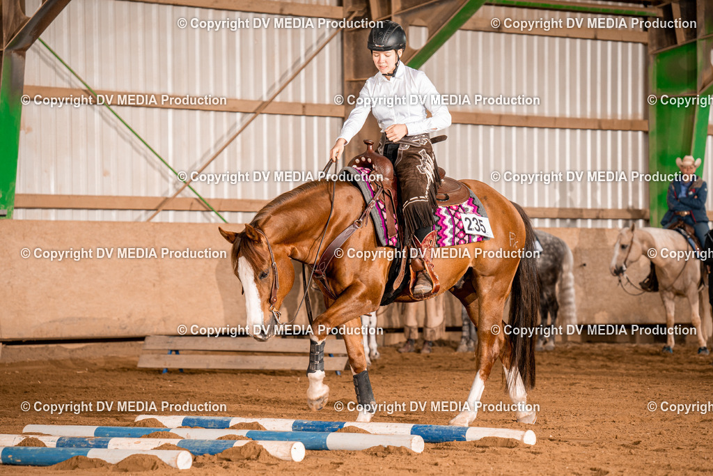 BA400308 | dv-media-shop - Realisiert mit Pictrs.com