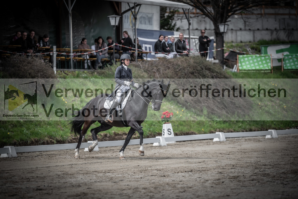 DSC_2687 | equestrian-live-com