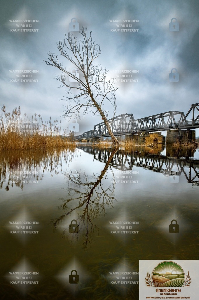 Europabruch | Landschaftsfotografie aus dem Oderbruch: Fine-Art-Prints im Shop, Fotoworkshops und ausgewählte Hochzeiten in Märkisch-Oderland & Oder-Spree.