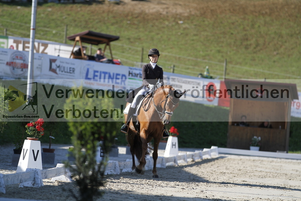 _MG_3250 | equestrian-live-com