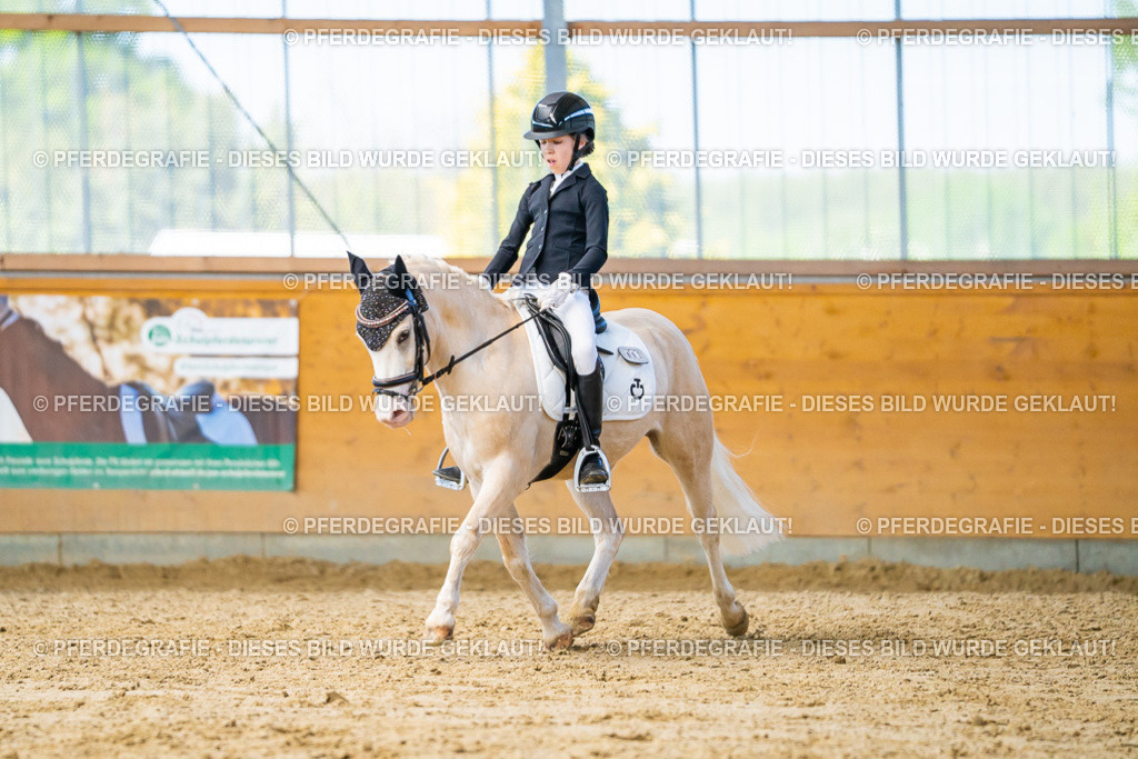 DSC07417 | Pferdegrafie