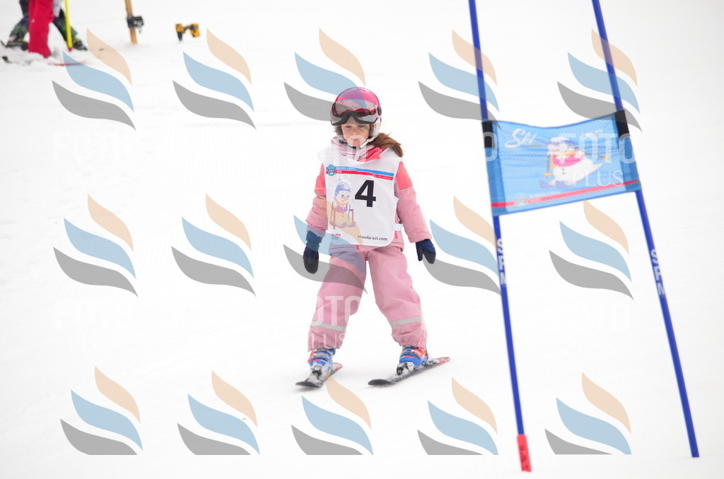 B9213 | holidayphoto