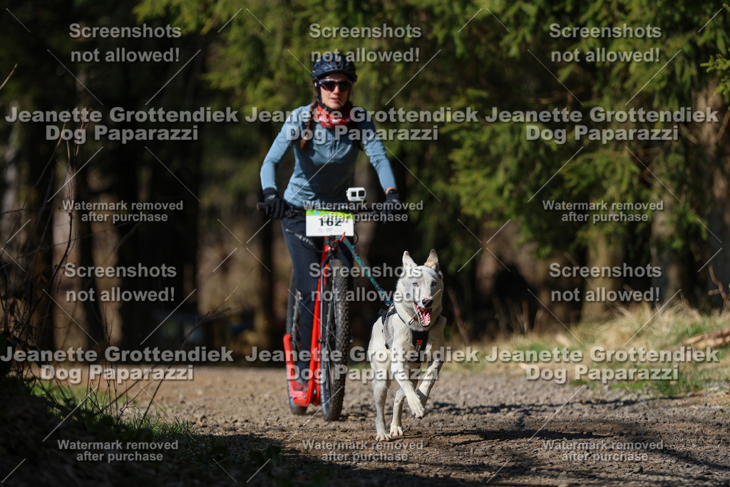 Dog Paparazzi - VCC26-132 | Dog Paparazzi Jeanette Grottendiek Fotografie & Videografie - Realisiert mit Pictrs.com