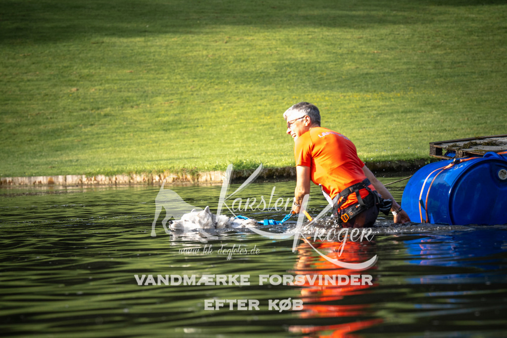 _ZZ940200710 | kk-dogfotos