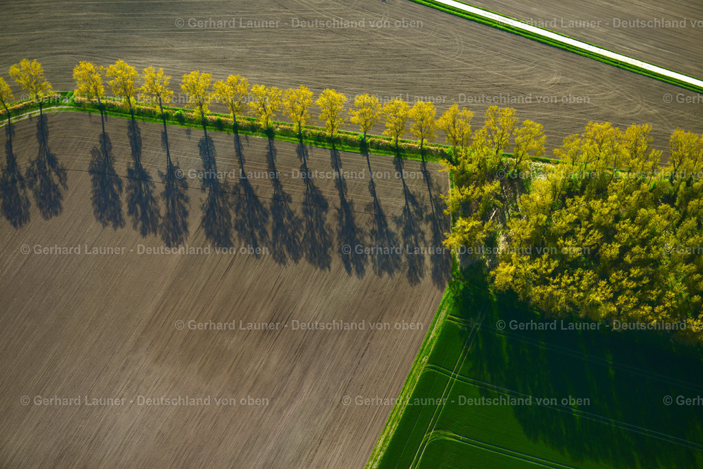 3600676 | WIESENBRONN 02.05.2016 Herbstliche verfärbte Vegetationsansicht Baumreihe an einer Landstraße an einem Feldrand in Wiesenbronn im Bundesland Bayern, Deutschland. // Autumnal discolored vegetation view row of trees on a country road on a field edge in Wiesenbronn in the state Bavaria, Germany. Foto: Gerhard Launer