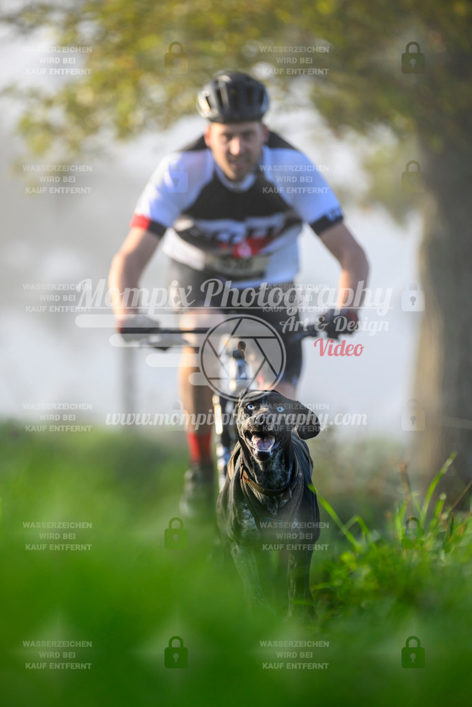MompixPhotography_20TSB_E3_Bike-82 | PayLife
