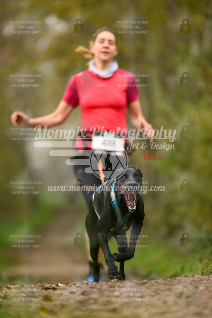 MompixPhotography_20TSB_E6_Run-134 | PayLife