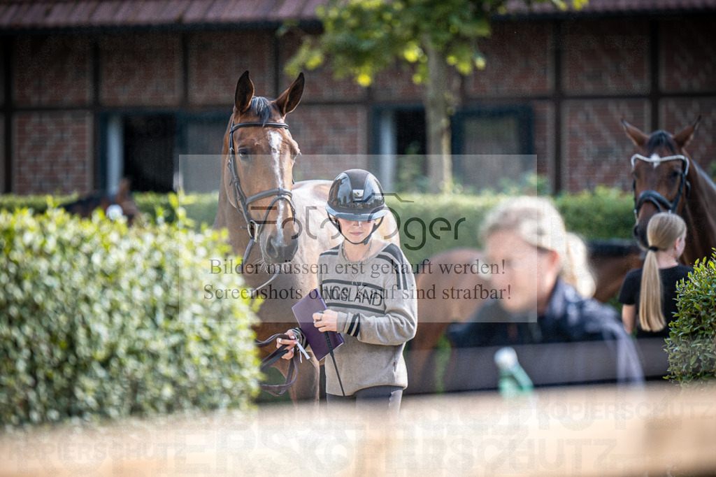 DOS_2637 | Entdecke hochwertige Reitturnierfotos von Foto Oger. Professionell, emotional und authentisch – jetzt Lieblingsmomente im Shop bestellen.Deutschlandweite Turnierfotografie. - Realisiert mit Pictrs.com