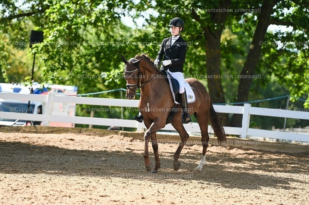 20230715_06_Dressurpferdeprfg. Kl.A_0414 | equistock