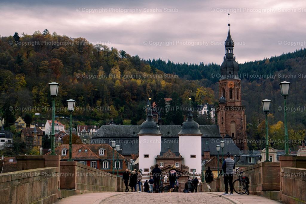 Über die Alte Brücke Heidelberg hinweg | Willkommen im Shop von Photography Sascha Staub. Hier findest du alle Fotos und Medieninhalten von Sascha Staub. In diesem Shop kannst du Lizenzen zu den Fotos, Drucke und Gutscheine für den Shop erwerben.  - Realisiert mit Pictrs.com