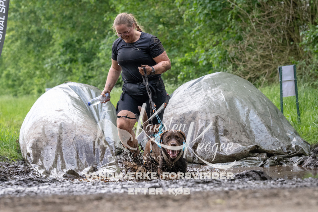 1238_ZZ92735 | kk-dogfotos