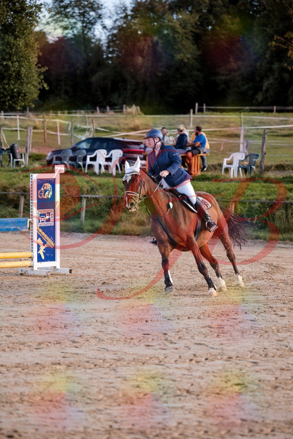 2026_10_03_Siefer-Hof_170358_Z81_00777216 | Professionelle Reitsport-, Turnier- und Eventfotografie von Robert Broda. Galerien mit ausgewählten und bearbeiteten Bildern direkt online ansehen und bestellen.