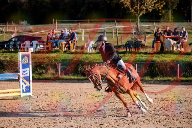 2026_10_03_Siefer-Hof_171723_Z81_15209144 | Professionelle Reitsport-, Turnier- und Eventfotografie von Robert Broda. Galerien mit ausgewählten und bearbeiteten Bildern direkt online ansehen und bestellen.