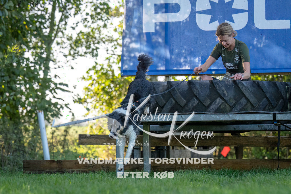 1025--3 | kk-dogfotos
