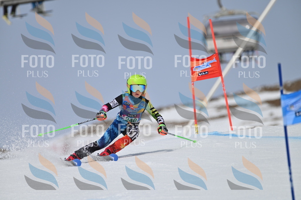 BGV_4910 | holidayphoto