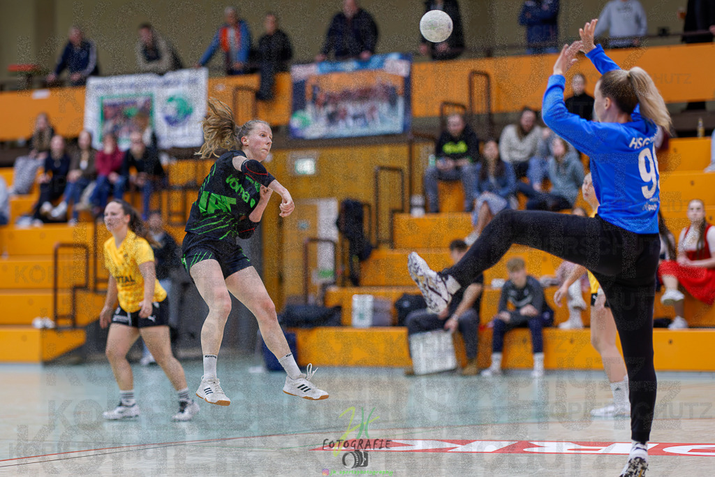 Frauen Oberliga Mitte (HHV); HSG Kleenheim/Langgöns II - HSG Eibelshausen/Ewersbach | Frauen Oberliga Mitte (HHV); HSG Kleenheim/Langgöns II - HSG Eibelshausen/Ewersbach am 01.11.2025 in Oberkleen (Weidig-Halle)Photo © 2025 - Jörg Heinrich - Realisiert mit Pictrs.com