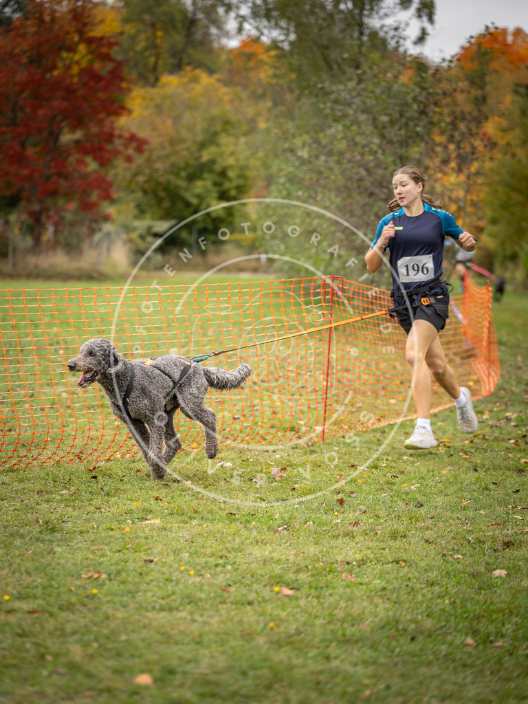 Pfotenfotografie_DV3A3871 | Hundefotografie, Tierfotograf, Pfotenfotografie, Fotoshooting Hund, Hunde Portrait, Hundesport, Hundeportraits, Heideshooting, Hunde, Sportfotograf, Hundefotograf, Turnierhundsport, THS,  - Realisiert mit Pictrs.com