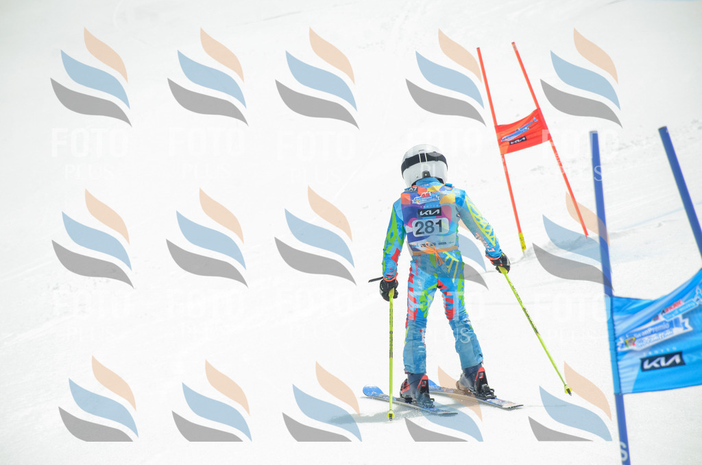 _ELE7959 | holidayphoto