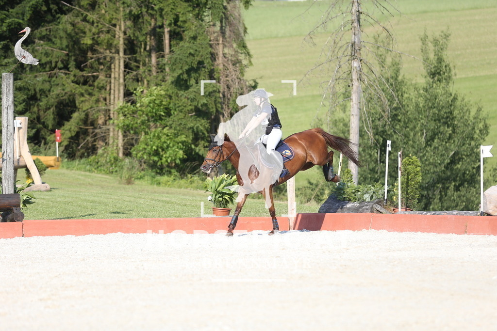 DL2Q3275 | Willkommen bei Brunnmayr - Design & Fotografie – Ihrem Spezialisten für Reitturniere und Pferdeveranstaltungen in Oberösterreich, Salzburg und Bayern! Seit über 17 Jahren sind wir leidenschaftlich dabei.