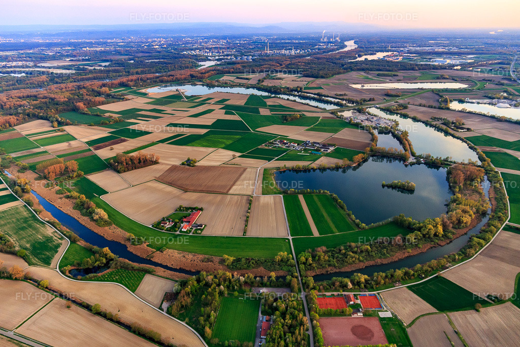 Luftbild: Ortsansicht von Norden in Neupotz im Bundesland Rheinland-Pfalz in Deutschland. Foto: IMG_106676.jpg vom 17.04.2018 durch Werner Riehm/FLY-FOTO.de