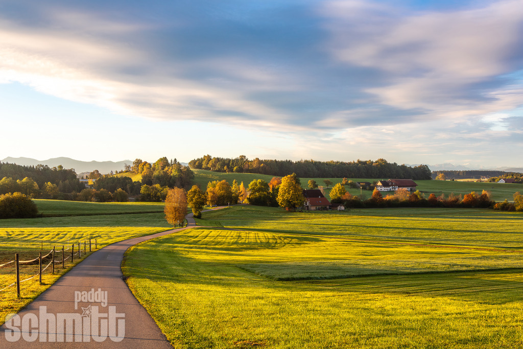 Warmer Herbstmorgen im Allgäu mit Landstraße und Bergpanorama | Warmer Herbstmorgen im Allgäu mit einer idyllischen Landstraße, die durch die herbstlich gefärbte Landschaft auf das eindrucksvolle Bergpanorama zuführt. Eine stimmungsvolle Aufnahme mit sanftem Morgenlicht und typischem Allgäuer Landschaftscharakter. - Realisiert mit Pictrs.com
