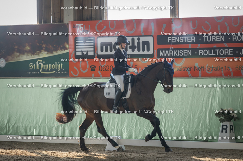 _D5A8363 | Emotionale Pferde- & People-Fotografie rund um Heidelberg, Leimen & Umgebung. Natürliche Fotos von Pferd, Mensch & Familie. Jetzt Termin sichern!