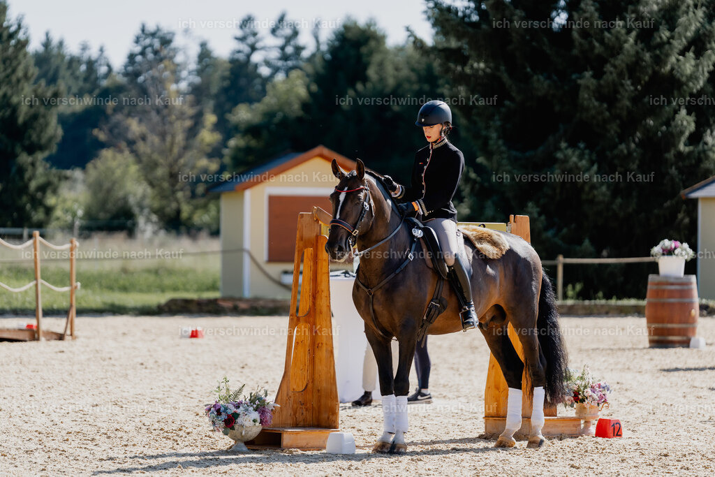 Virginie12FHC2025-09151 | working equitationturnier fotograf videograf stoibphotography marixx film working equitation deutschland reitsport turnierfotografie eventfotografie equestrian events