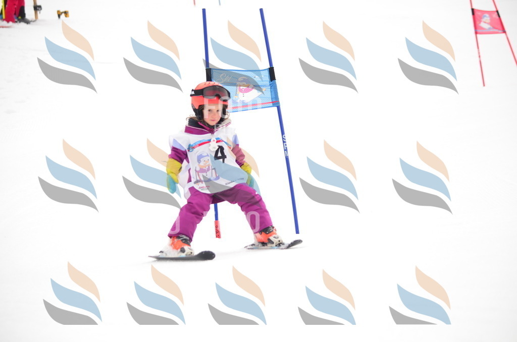 B9042 | holidayphoto