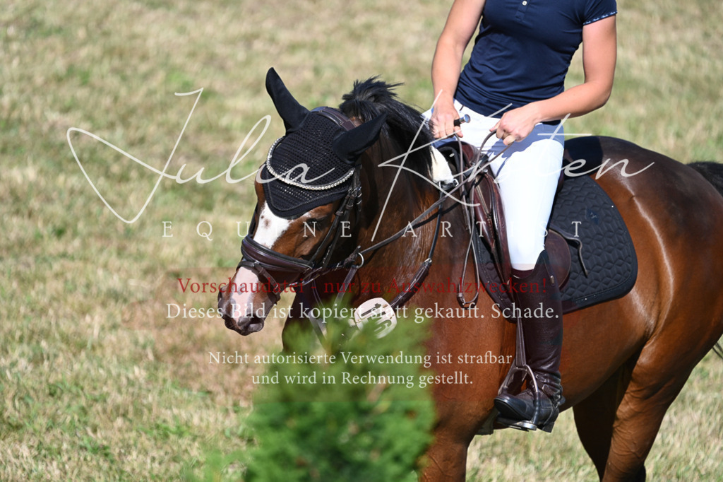 DSC_2012 | Pferde- und Turnierfotografie in Westsachsen. Pferdeportraits, Auftragszeichnungen und intuitive Kunst.