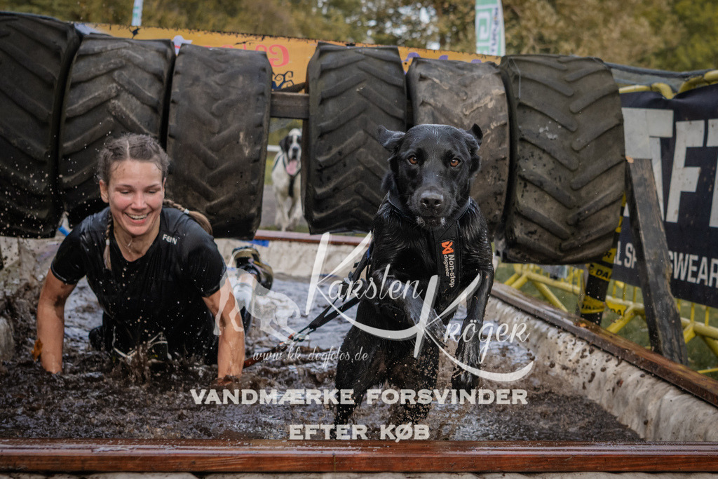 1453_ZZ90596 | kk-dogfotos