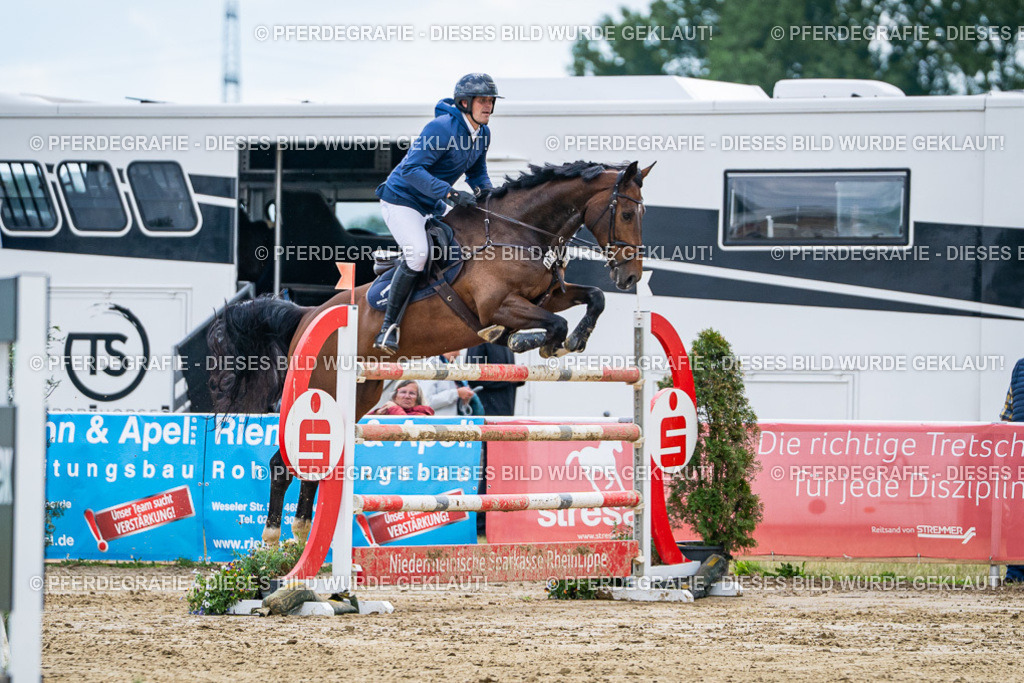 DSC05861 | Pferdegrafie