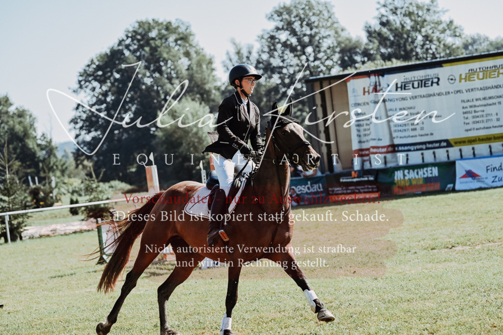 DSC_5571 | Pferde- und Turnierfotografie in Westsachsen. Pferdeportraits, Auftragszeichnungen und intuitive Kunst.