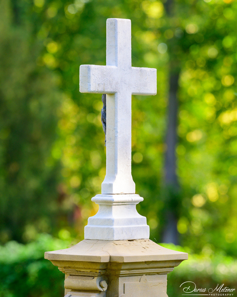 Der alte Hauptfriedhof in Mainz | Der alte Hauptfriedhof in Mainz