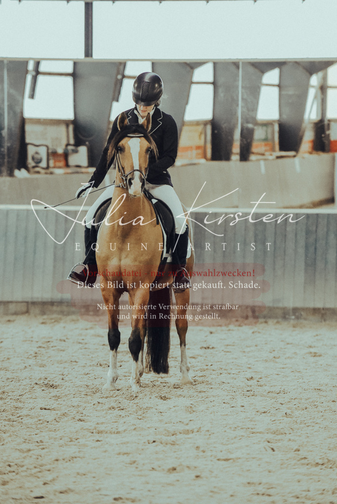DSC_7624 | Pferde- und Turnierfotografie in Westsachsen. Pferdeportraits, Auftragszeichnungen und intuitive Kunst.