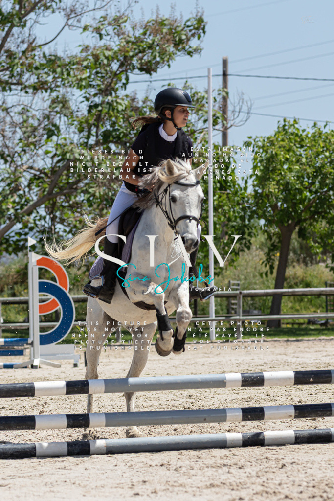 IMG_0332 | s-jay-photography - Realisiert mit Pictrs.com