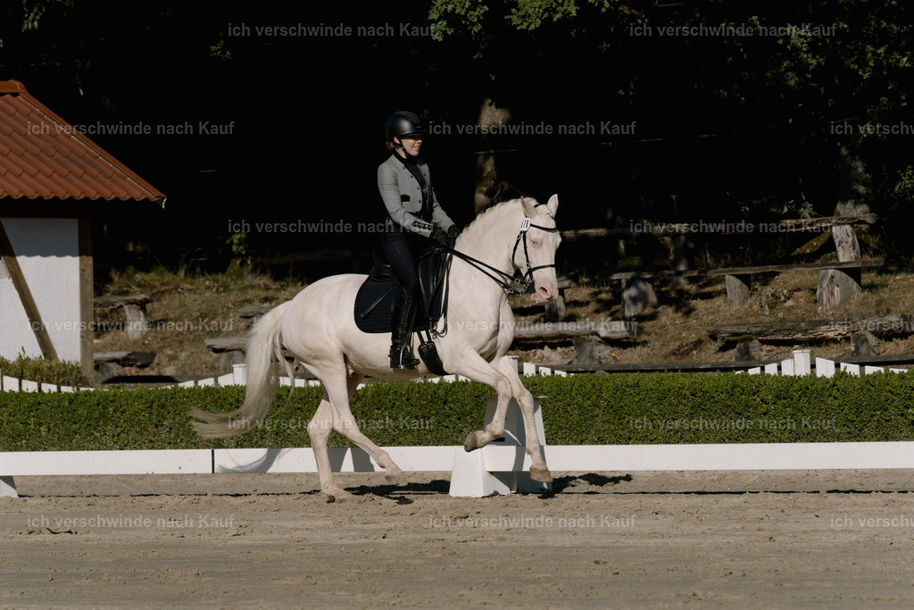 WM_DR_76_sinafilmart_IN04462 | working equitationturnier fotograf videograf stoibphotography marixx film working equitation deutschland reitsport turnierfotografie eventfotografie equestrian events