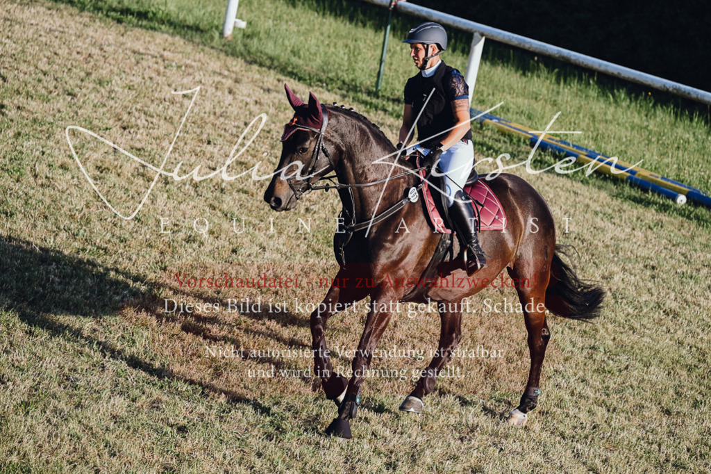 DSC_3244 | Pferde- und Turnierfotografie in Westsachsen. Pferdeportraits, Auftragszeichnungen und intuitive Kunst.