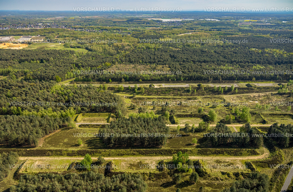 Brueggen240403170BrachterWald | Luftbild, Naturschutzgebiet NSG Brachter Wald an der deutsch-niederländischen Grenze, ehemaliges Munitionsdepot und Sperrgebiet der britsichen Rheinarmee, jetzt im Besitz der Nordrhein-Westfalen-Stiftung Naturschutz, Heimat- und Kulturpflege, Waldgebiet mit Fernsicht, Alst, Brüggen, Niederrhein, Nordrhein-Westfalen, Deutschland