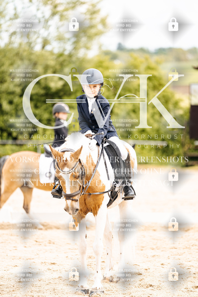 CK904709 | Turnierfotografie Pferdefotografie Trier Rheinland-Pfalz Pferdesport Reitsport Tierfotografie Sportfotografie Pferdevideo Pferdevideografie Equestrianvideography equestrianphotography  - Realisiert mit Pictrs.com