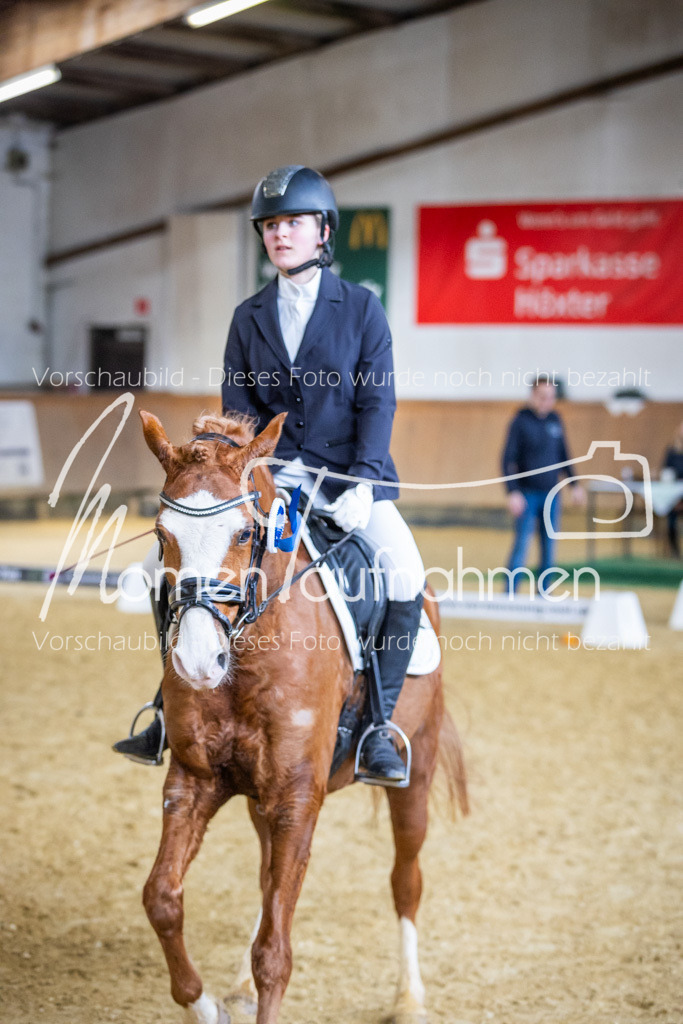 _M2A1741 | MomenTaufnahmen Pferdesportfotos