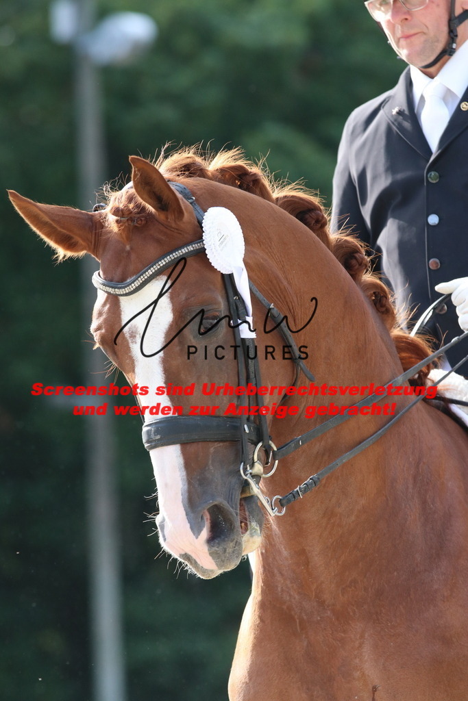 IMG_5874 | lmwpictures - Realisiert mit Pictrs.com