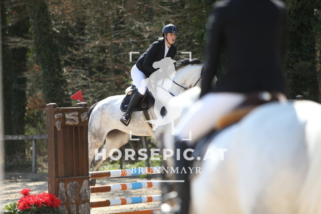 DL2Q0975 | Willkommen bei Brunnmayr - Design & Fotografie – Ihrem Spezialisten für Reitturniere und Pferdeveranstaltungen in Oberösterreich, Salzburg und Bayern! Seit über 17 Jahren sind wir leidenschaftlich dabei.