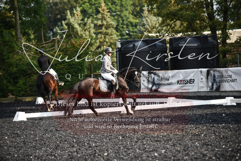 DSC_3308 | Pferde- und Turnierfotografie in Westsachsen. Pferdeportraits, Auftragszeichnungen und intuitive Kunst.