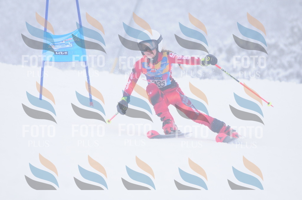 C3564 | holidayphoto