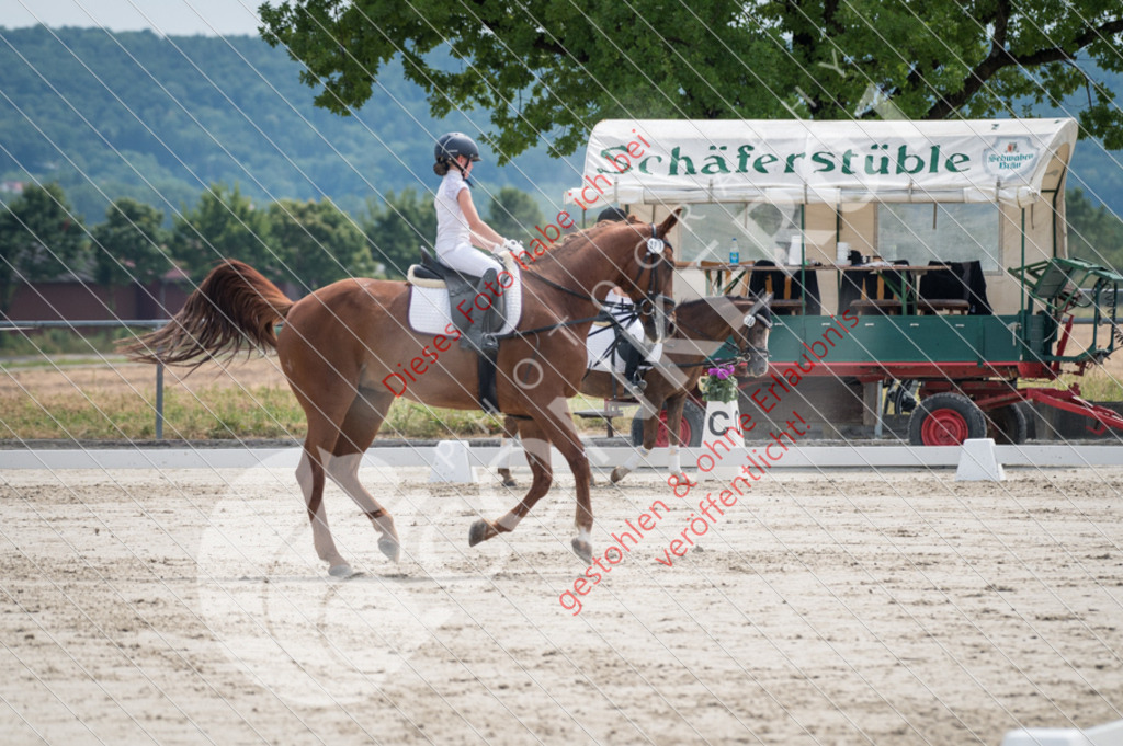 Z62_3585 | Sport-, Event- und Tierfotos in Profiqualität. Einfach auswählen, bestellen und herunterladen. Dein Moment – perfekt festgehalten.