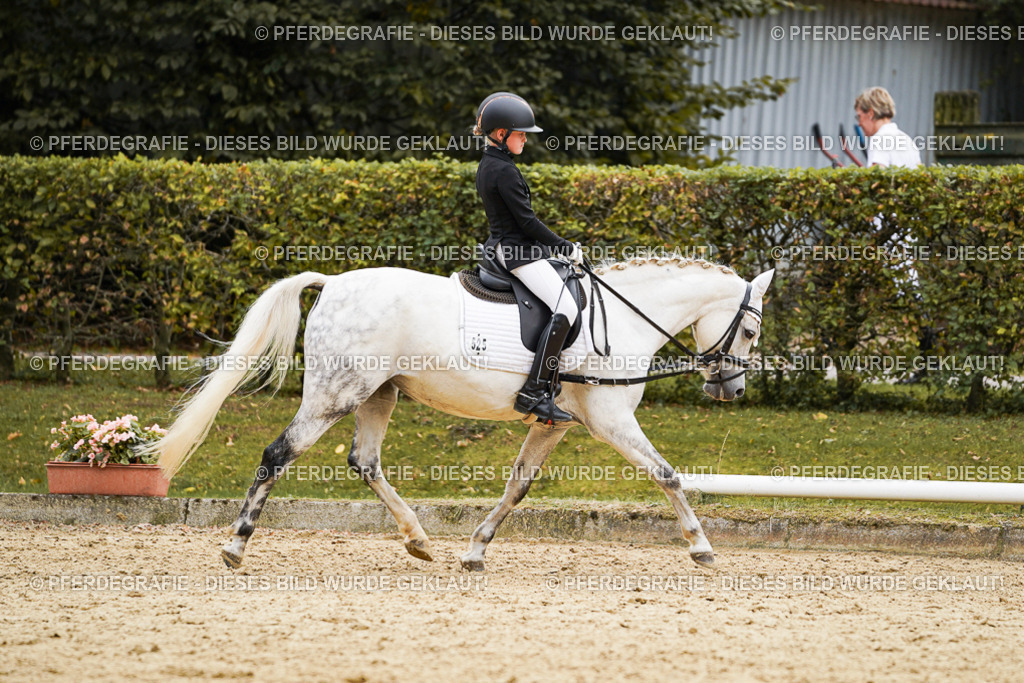 DSC09723 | Pferdegrafie