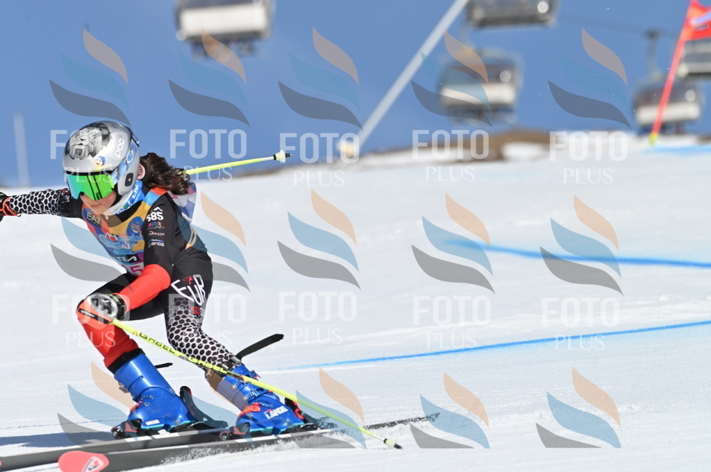 BGV_8450 | holidayphoto